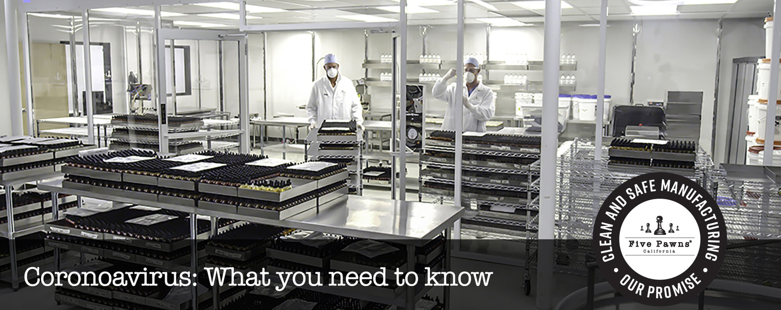 Coronavirus: What you need to know